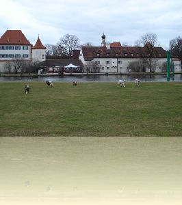 Eurasier bei der Blutenburg 21.03.2010